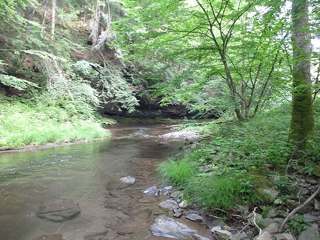Cedar Run Senic3.JPG
